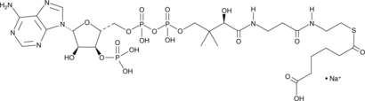 Adipoyl Coenzyme A(sodium salt)图片