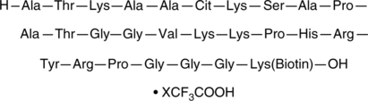 Histone H3(Citrullinated R26)(21-44)-GGK-biotin(trifluoroacetate salt)ͼƬ