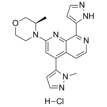 BAY-1895344 hydrochloride图片