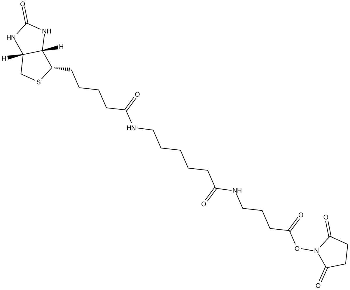 NHS-12-Biotin图片