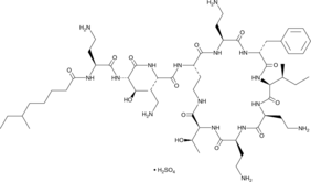Polymyxin B1 Isoleucine(sulfate)图片