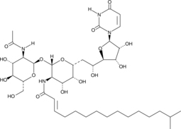 Tunicamycin 16:1 Mixture图片