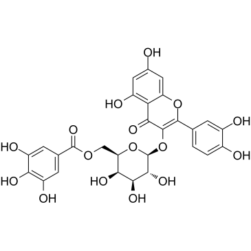 Quercetin 3-O-(6&rsquo&rsquo-galloyl)-β-D-galactopyranoside图片