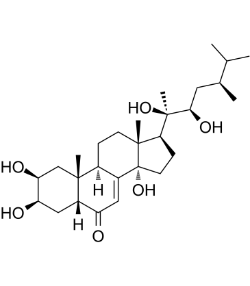 Polyporusterone AͼƬ