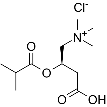 Isobutyryl-L-carnitine chloride图片