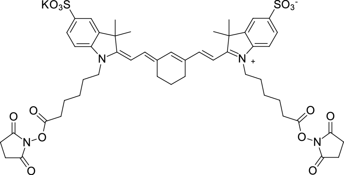 Sulfo-Cyanine7 bis-NHS esterͼƬ