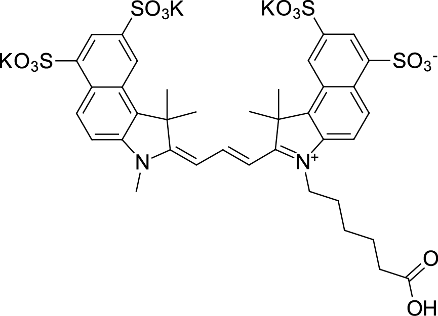 Sulfo-Cyanine3,5 carboxylic acidͼƬ