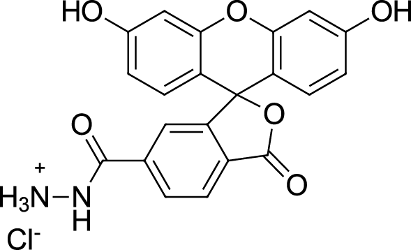 FAM hydrazide,6-isomer图片