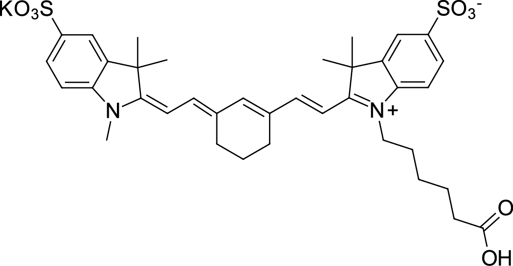Sulfo-Cyanine7 carboxylic acidͼƬ