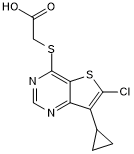 LP 922056ͼƬ