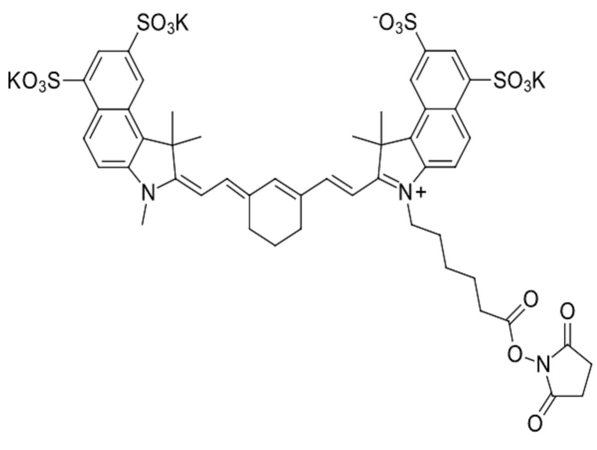 Sulfo-Cyanine7,5 NHS ester图片