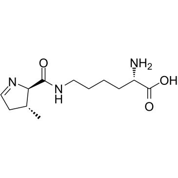 L-Pyrrolysine图片
