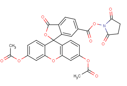 6-CFDA N-succinimidyl ester图片