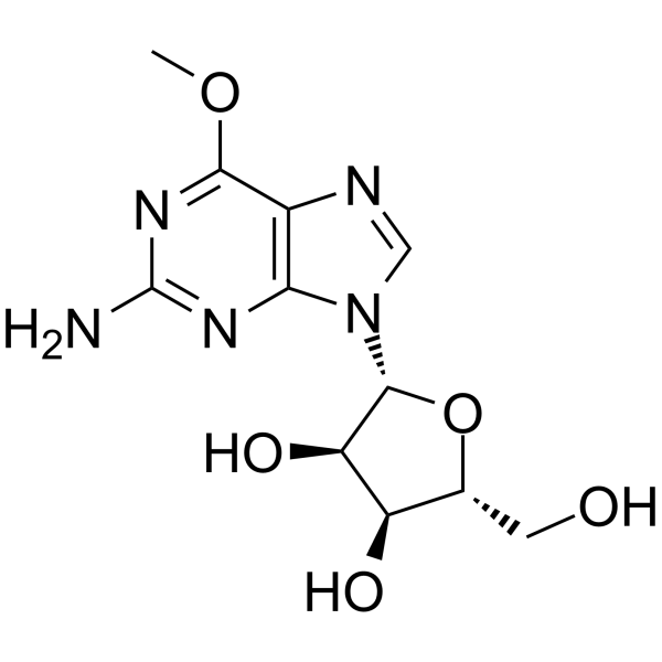 6-O-Methyl GuanosineͼƬ