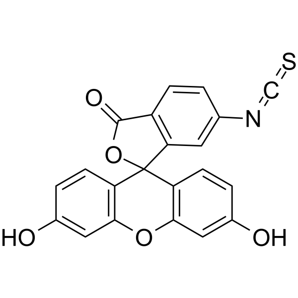 Fluorescein-6-isothiocyanate图片