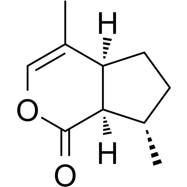 4a,7,7a-NepetalactoneͼƬ