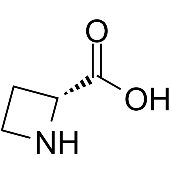 (R)-Azetidine-2-carboxylic acid图片