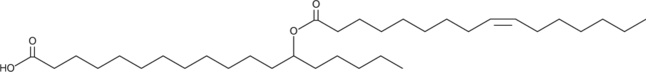 13-POHSA图片