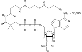 4-pentynoyl-Coenzyme A(trifluoroacetate salt)图片