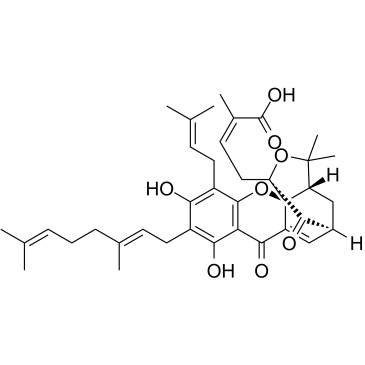 Gambogenic acid图片