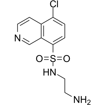 CKI-7图片