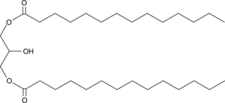 1,3-Dimyristoyl-rac-glycerol图片