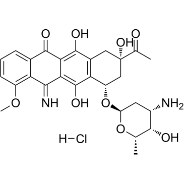 5-Iminodaunorubicin hydrochloride图片