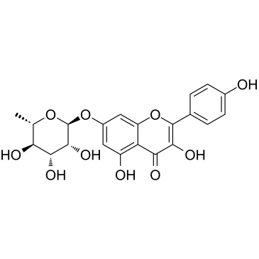 Kaempferol-7-O-rhamnoside图片