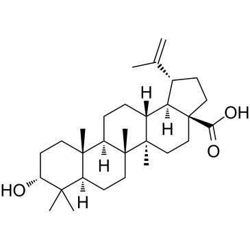 Epibetulinic acid图片
