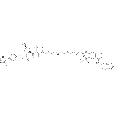 PROTAC RIPK degrader-2图片