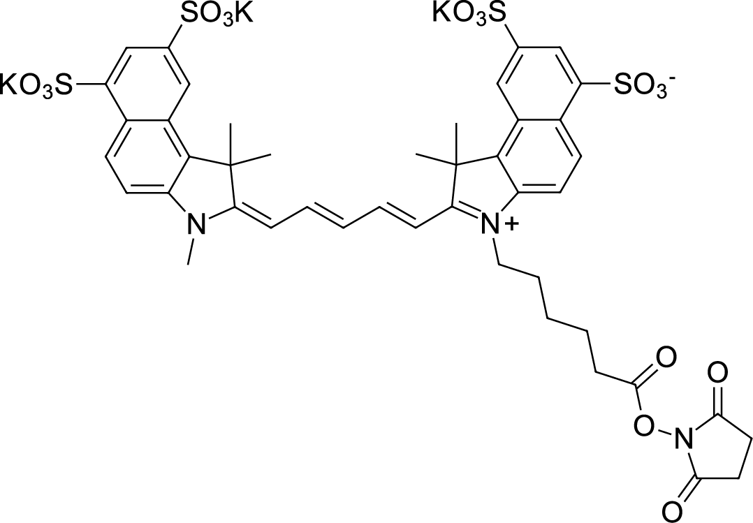Sulfo-Cyanine5,5 NHS ester图片