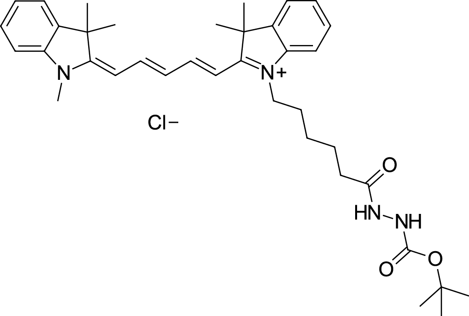 Cyanine5 Boc-hydrazide图片