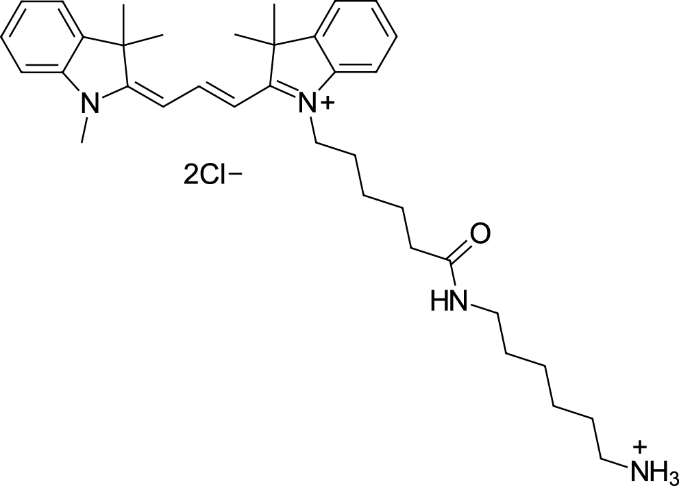 Cyanine3 amine图片