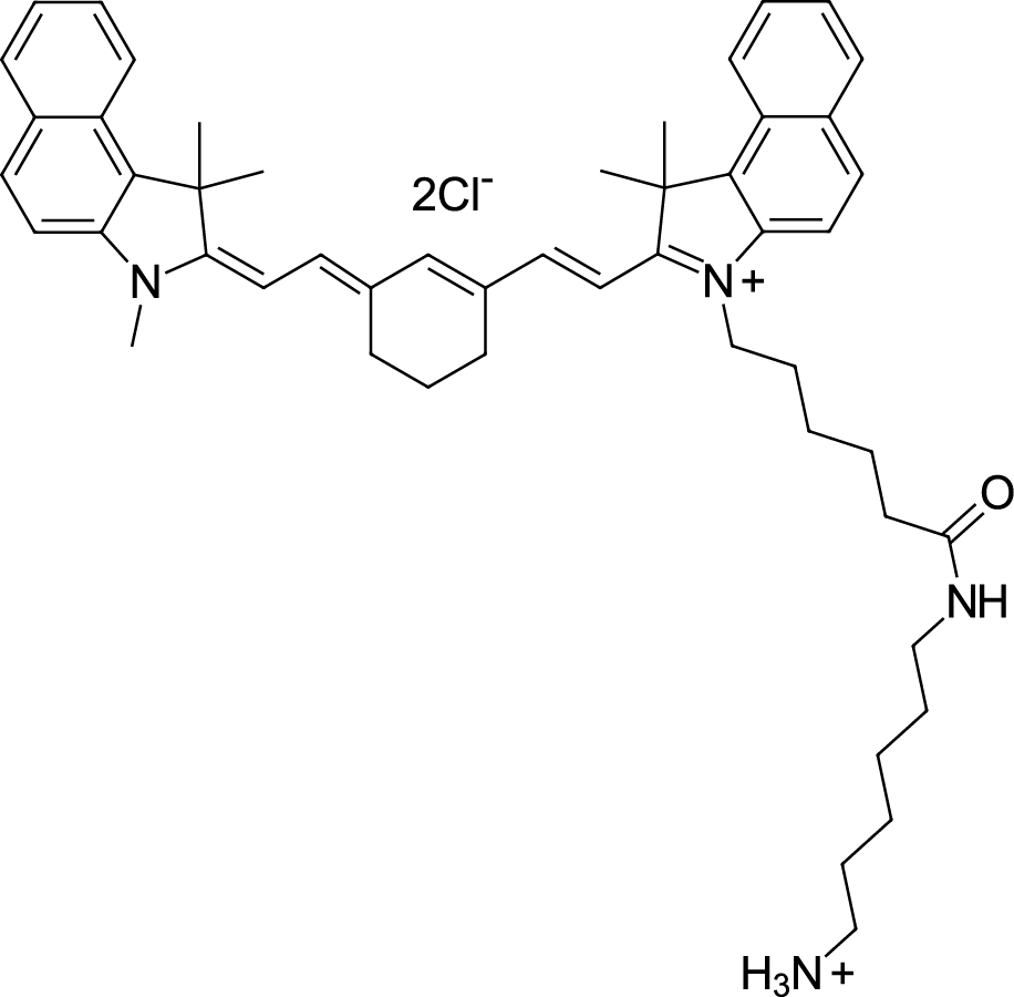 Cyanine7,5 amine图片