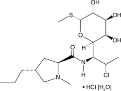 Clindamycin(hydrochloride hydrate)图片