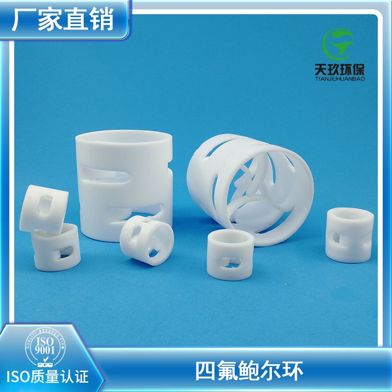四氟鲍尔环PTFE填料环图片