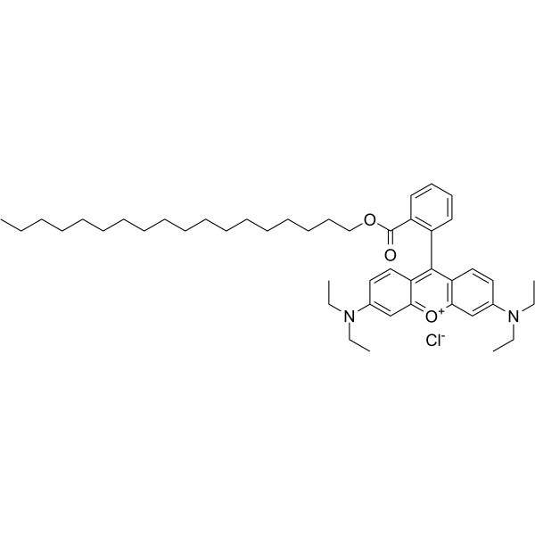 Octadecyl Rhodamine B chloride图片
