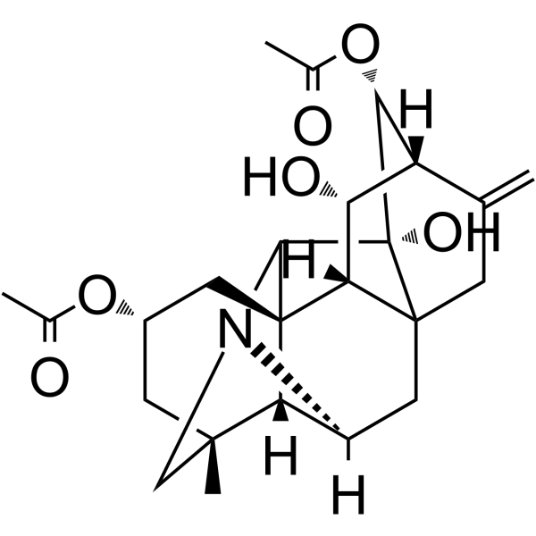 Guanfu base A图片