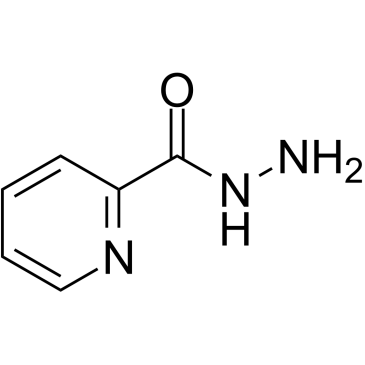 2-Pyridinecarbohydrazide图片