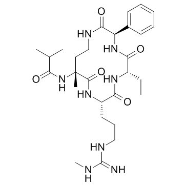 MM-589图片