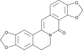 8-Oxycoptisine图片