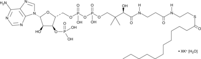 Lauroyl Coenzyme A(potassium salt hydrate)图片