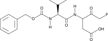 MX1013图片