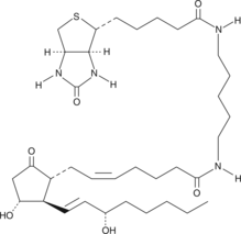 Prostaglandin E2-biotin图片