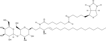 C6 Biotin Lactosylceramide(d18:1/6:0)图片
