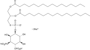 Ptd(S)Ins-(3,4)-P2(1,2-dipalmitoyl)(sodium salt)图片