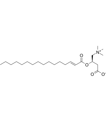 trans-2-Hexadecenoyl-L-carnitine图片