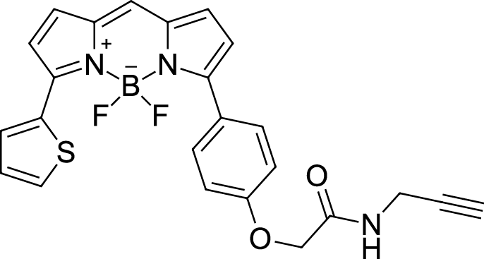 BDP TR alkyne图片