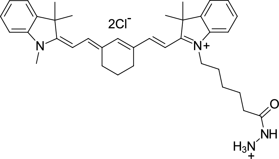 Cyanine7 hydrazide图片