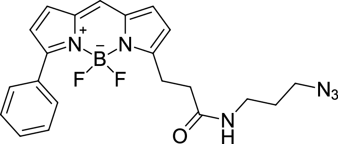 BDP R6G azide图片